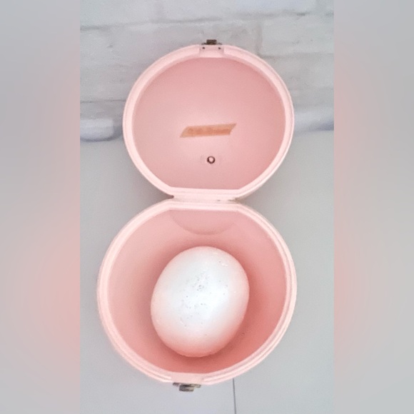 Vintage Pink La Rhonda by Jet Set Wig Travel Storage case - Picture 9 of 13